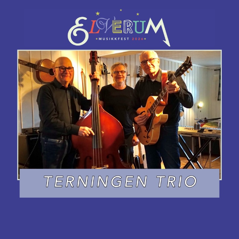 Terningen Trio
