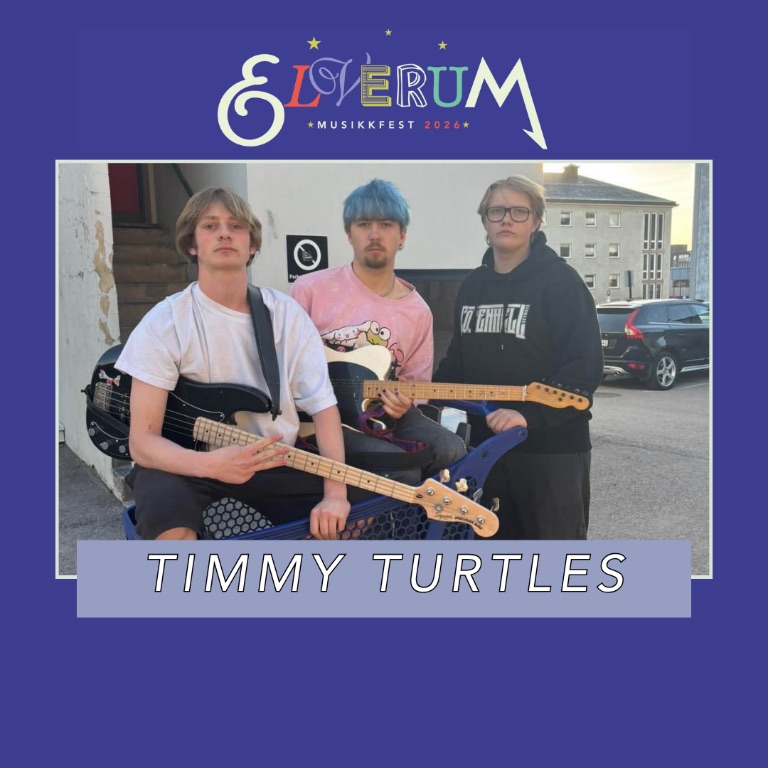 Timmy Turtles